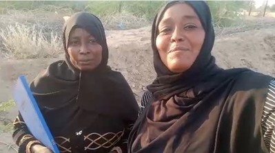 Cairdeas Gathering 2025 & a Call for Support: Sunshine in War